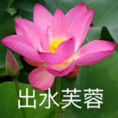 绘制武器3d游戏下载